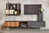 CASA TV UNIT