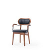 IGLO ARM CHAIR (254)