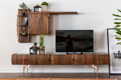 HARMONY TV UNIT