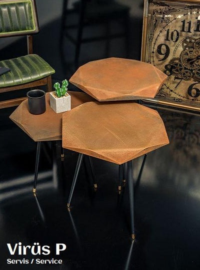 VIRUS/P/ COFFEE TABLE SET OF 3